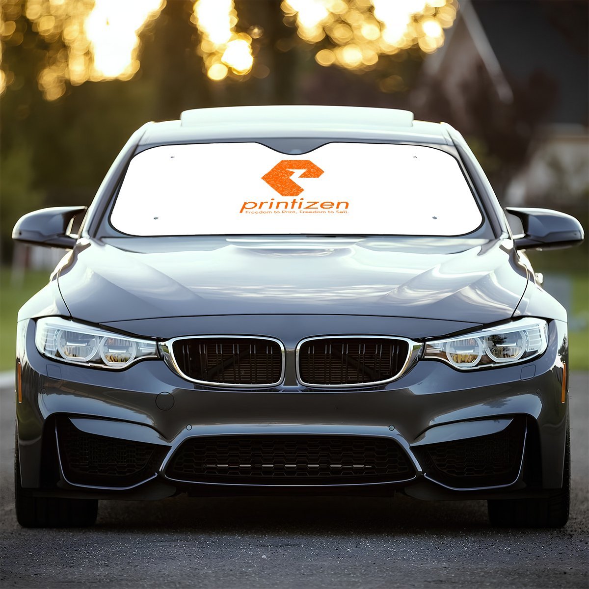 Car Windshield Sunshade (Demo) - Image 3